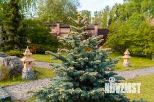 Дом 80м², 2-этажный, посуточно,