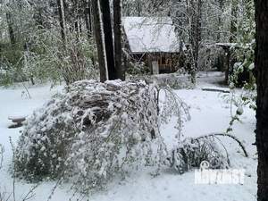 Дом 150м², 2-этажный, посуточно,