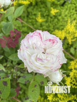 Дом 102м², 2-этажный, участок 8 сот.