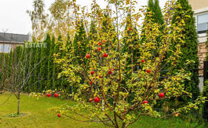 Дом 370м², 3-этажный, участок 9 сот.