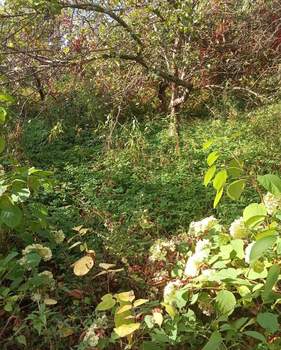 Дом 100м², 2-этажный, участок 8 сот.