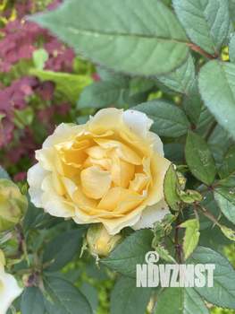 Дом 102м², 2-этажный, участок 8 сот.