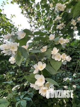 Дом 102м², 2-этажный, участок 8 сот.