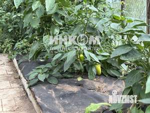 Дом 108м², 2-этажный, участок 9 сот.