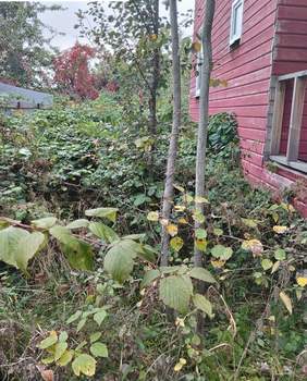 Дом 100м², 2-этажный, участок 8 сот.