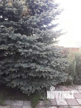 Дом 195м², 2-этажный, участок 7 сот.