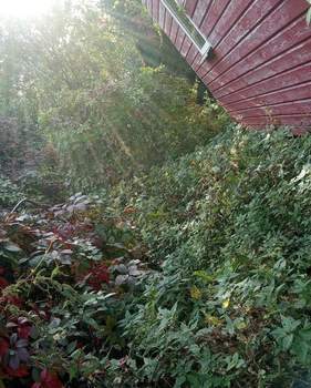 Дом 100м², 2-этажный, участок 8 сот.