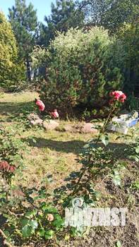 Дом 384м², 4-этажный, участок 15 сот.