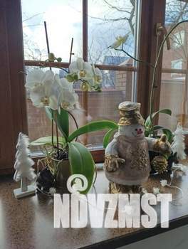 Коттедж 460м², 4-этажный, участок 9 сот.