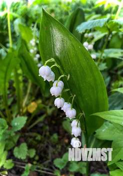 Дом 102м², 2-этажный, участок 8 сот.