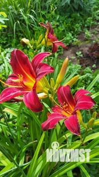 Дом 75м², 1-этажный, на длительный срок, 