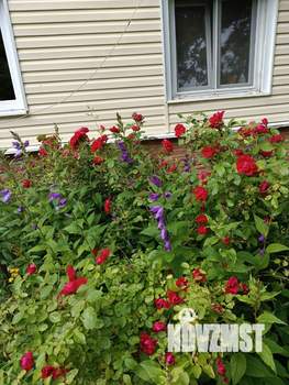 Дом 150м&sup2;, 2-этажный, посуточно, 