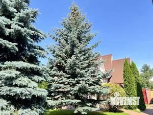 Дом 640м², 3-этажный, участок 10 сот.  