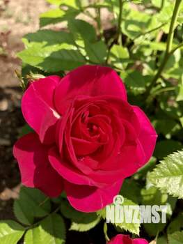 Дом 102м², 2-этажный, участок 8 сот.  