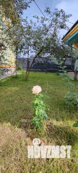 Дом 126м&sup2;, 1-этажный, участок 6 сот.  