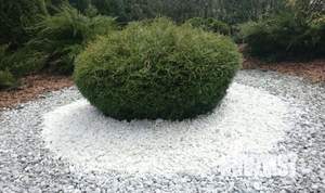 Дом 66м², 1-этажный, участок 897 сот.  