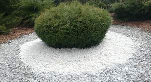 Дом 66м², 1-этажный, участок 897 сот.  