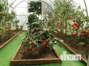 Дом 66м², 1-этажный, участок 897 сот.  