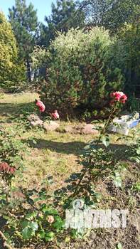 Дом 384м², 4-этажный, участок 15 сот.  