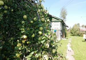 Дом 15м², 1-этажный, участок 0 сот.  