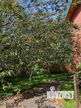 Дом 442м², 4-этажный, участок 17 сот.  