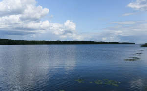 Дом 325м², 2-этажный, участок 22 сот.  