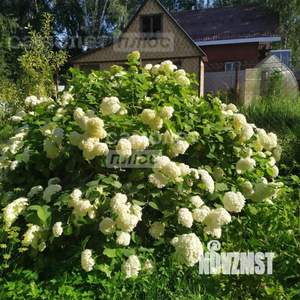 Дом 30м², 1-этажный, участок 4 сот.  