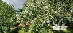 Дача 42м², 2-этажный, участок 6 сот.  