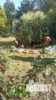 Дом 384м², 4-этажный, участок 15 сот.  