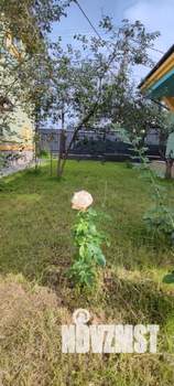 Дом 126м&sup2;, 1-этажный, участок 6 сот.  