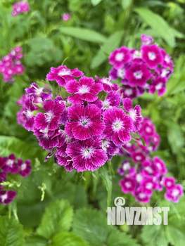 Дом 102м², 2-этажный, участок 8 сот.  