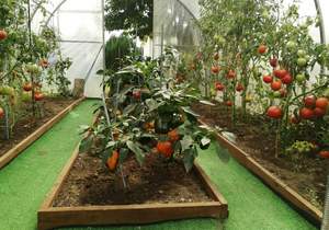 Дом 66м², 1-этажный, участок 897 сот.  