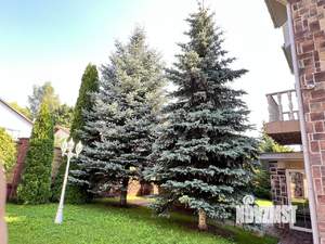 Дача 640м², 3-этажный, участок 10 сот.  