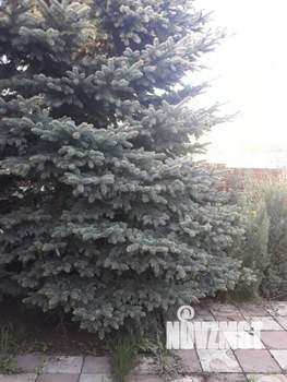 Дом 195м², 2-этажный, участок 7 сот.  