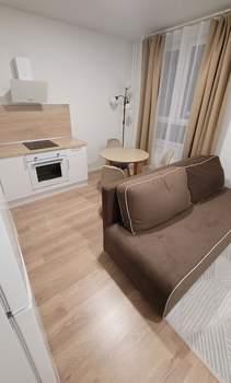 Студия квартира, на длительный срок, 25м2, 8/17 этаж