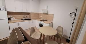 Студия квартира, на длительный срок, 25м2, 8/17 этаж