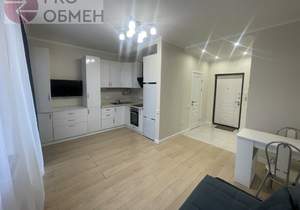 1-к квартира, на длительный срок, 29м2, 11/17 этаж