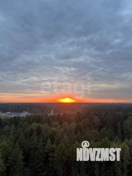 1-к квартира, на длительный срок, 34м2, 14/17 этаж