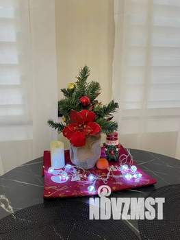 Студия квартира, посуточно, 29м2, 1/6 этаж