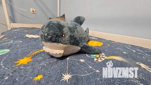 3-к квартира, посуточно, 85м2, 20/23 этаж