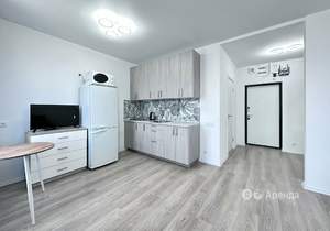 Студия квартира, на длительный срок, 25м2, 12/17 этаж