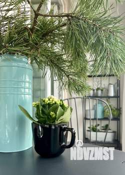 2-к квартира, на длительный срок, 42м2, 4/9 этаж