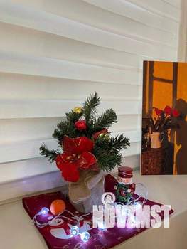 1-к квартира, посуточно, 29м2, 1/1 этаж