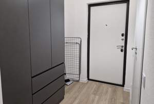 Студия квартира, на длительный срок, 30м2, 8/17 этаж