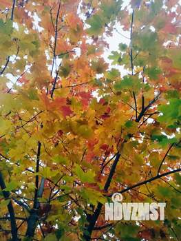 3-к квартира, вторичка, 63м2, 1/9 этаж