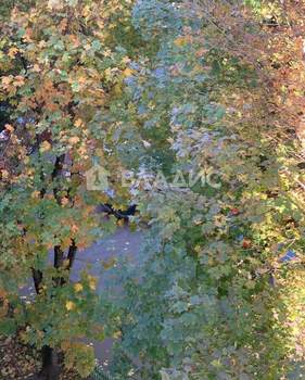 1-к квартира, вторичка, 32м2, 5/55 этаж