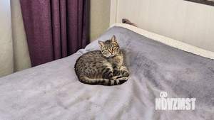 1-к квартира, вторичка, 38м2, 6/20 этаж