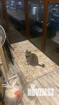 Студия квартира, вторичка, 31м2, 3/9 этаж