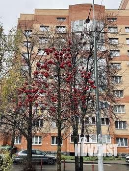 2-к квартира, вторичка, 64м2, 5/14 этаж