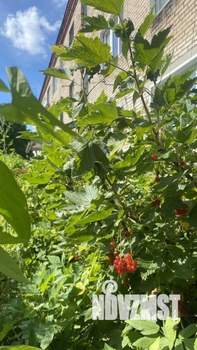 2-к квартира, вторичка, 52м2, 3/3 этаж